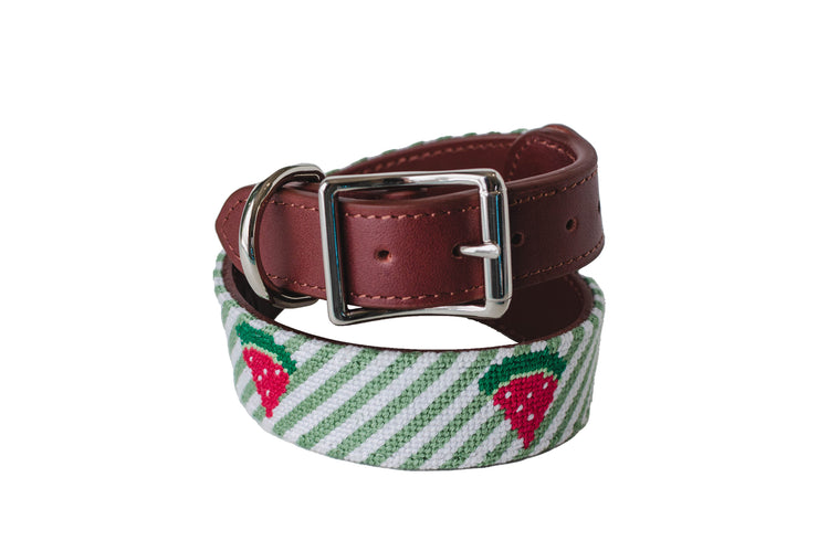 Watermelon needlepoint collar by Asher Riley