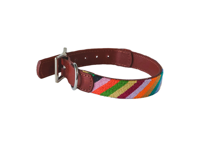 Rainbow mini needlepoint dog collar