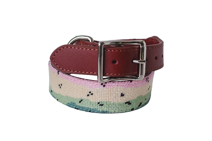 Rainbow Trout Needlepoint Dog Collar