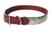 Rainbow Trout Needlepoint Dog Collar