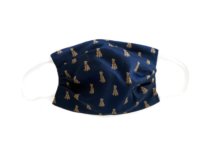 GOLDEN ON NAVY SILK MASK™