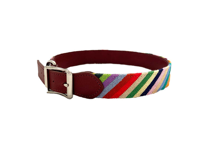 Groovy Needlepoint Dog Collar by Asher Riley
