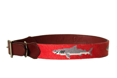 Shark needlepoint dog collar by Asher Riley